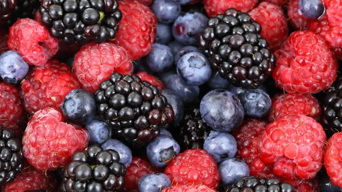 ¿Qué cantidad de arándanos tenemos que comer al día?