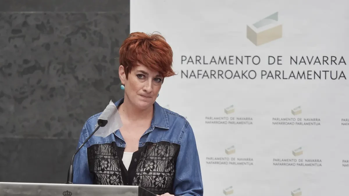 EH Bildu pide al Gobierno foral un plan de medidas 