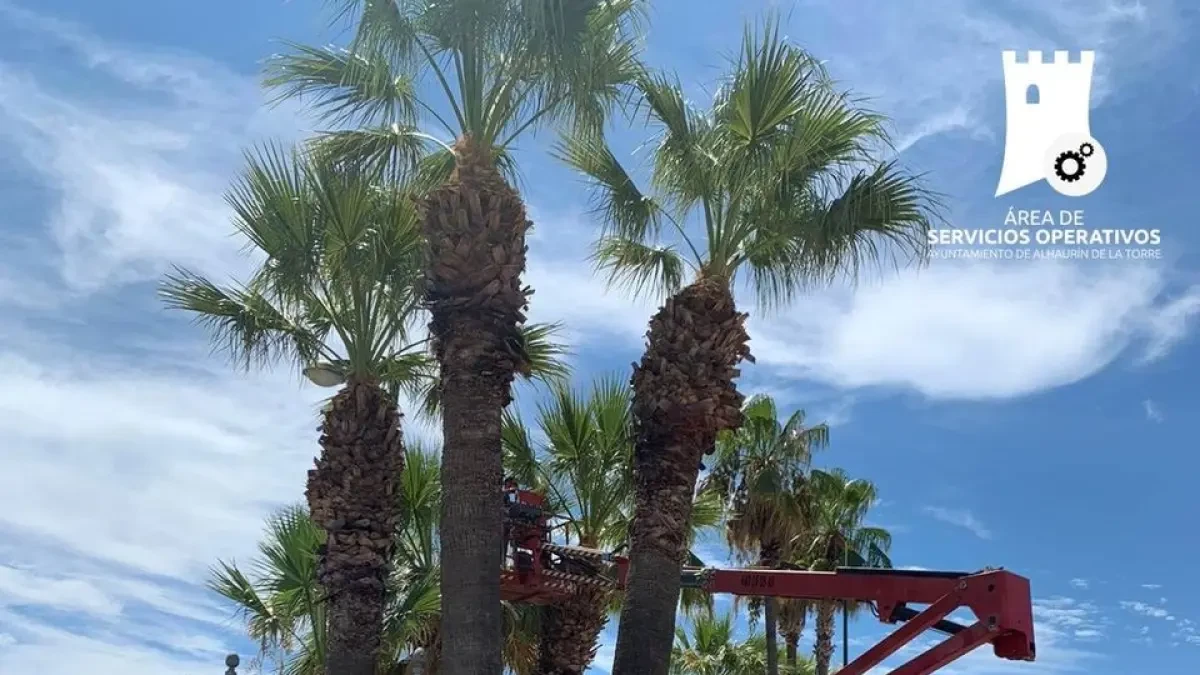 Alhaurín de la Torre mantiene el nivel de actuaciones e incidencias registradas, con 546 en agosto
