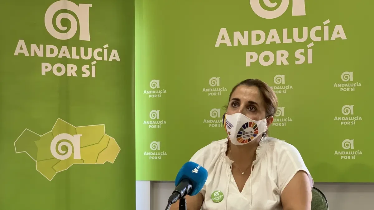 Los andalucistas de Alcalá piden 