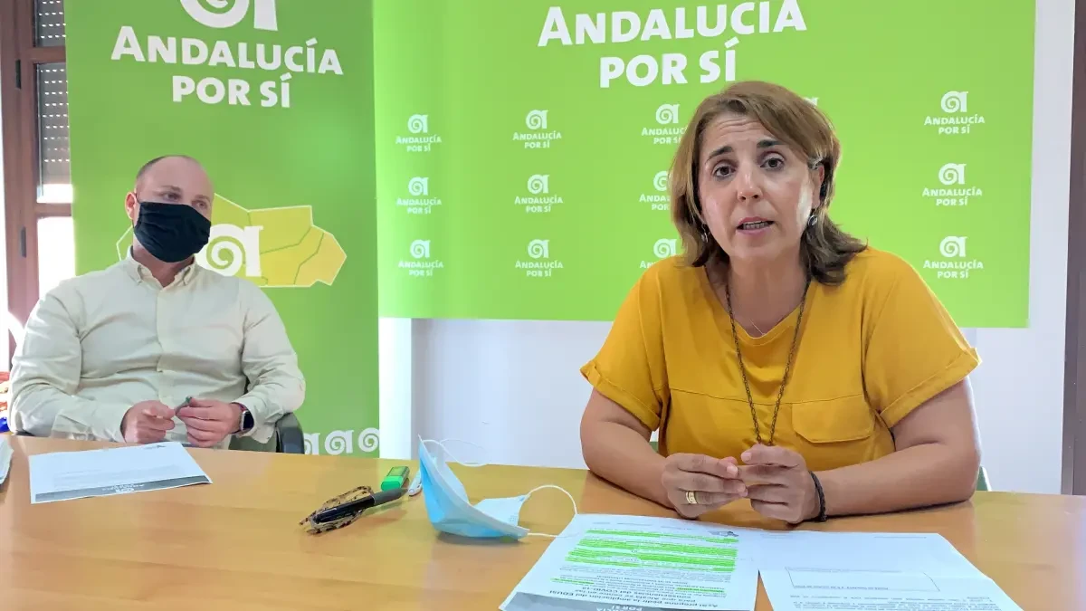 Los andalucistas de Alcalá proponen pedir una ampliación del plazo de ejecución de los fondos Edusi