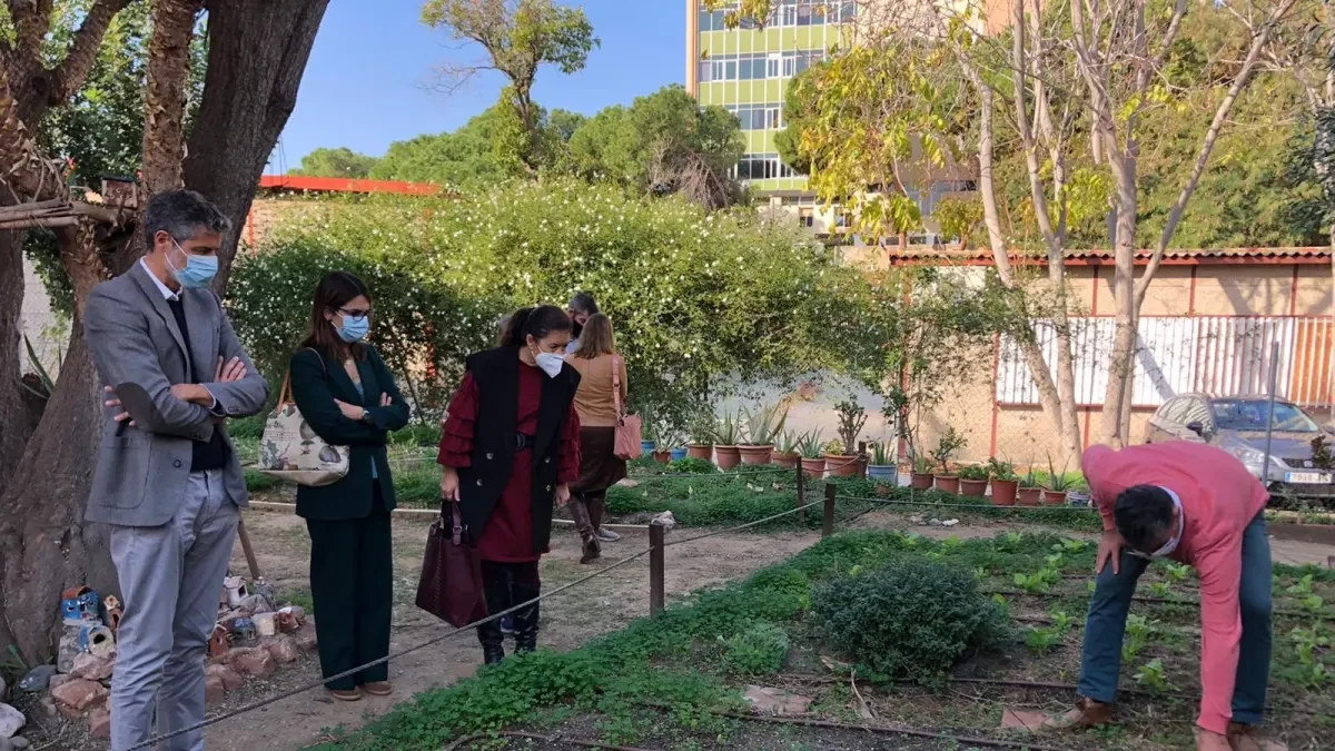 El Ayuntamiento adecúa el huerto urbano La Yuca en Lagunillas como espacio formativo y de experimentación