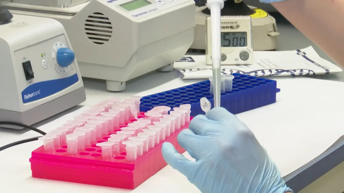 ¿Por qué la vacuna de Moderna aguanta a menos frío que la de Pfizer? La clave está en la concentración de ARN