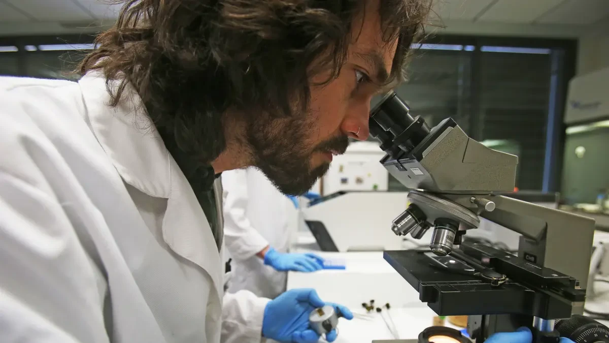 Una arteria del antebrazo revela que la evolución humana continúa