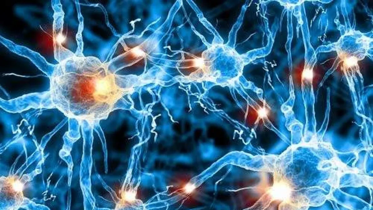 El gran enigma del cerebro, una estructura con más neuronas que estrellas hay en nuestra galaxia