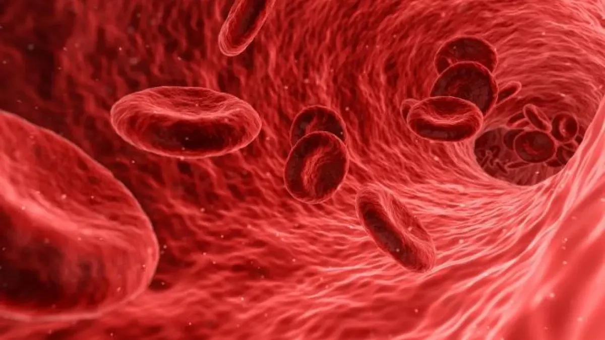 Descubren un patrón común en una proteína concreta en los trombos provocados por la vacuna AstraZeneca