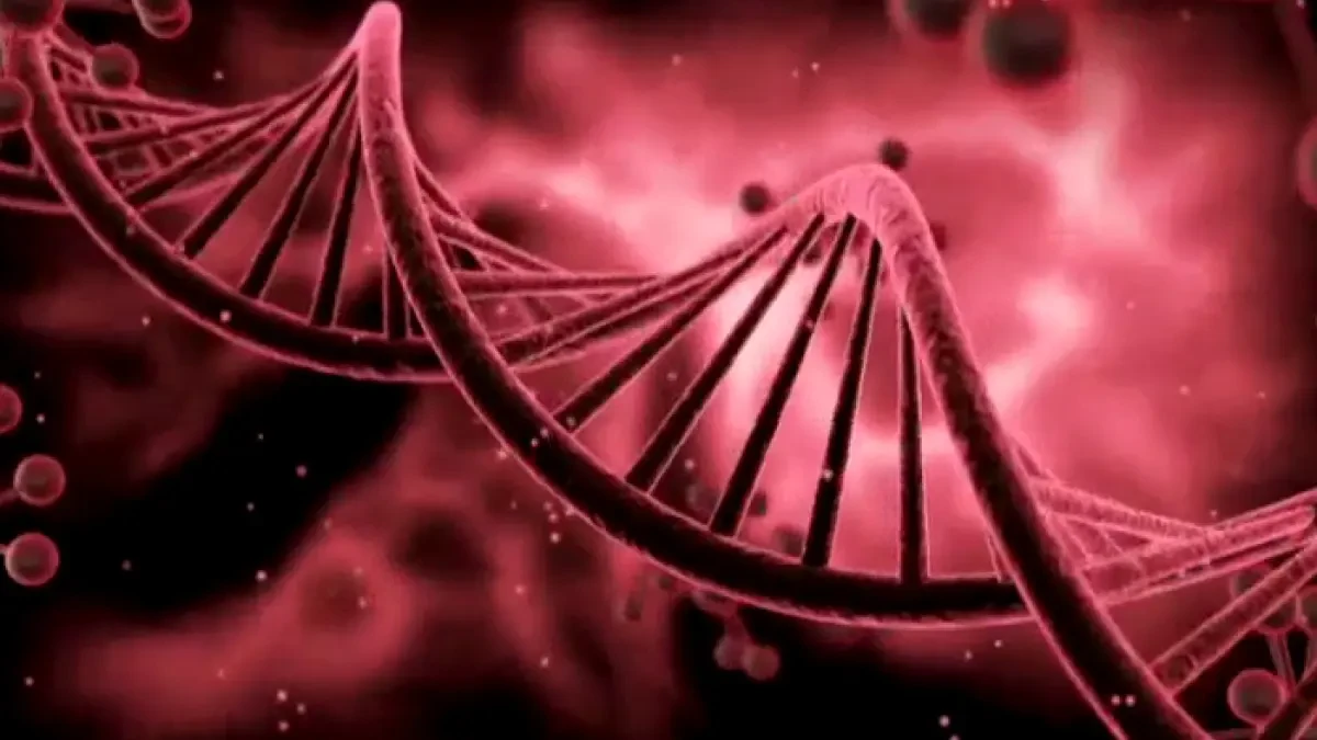 Un sistema inmune a punto, clave en la nueva normalidad con el coronavirus