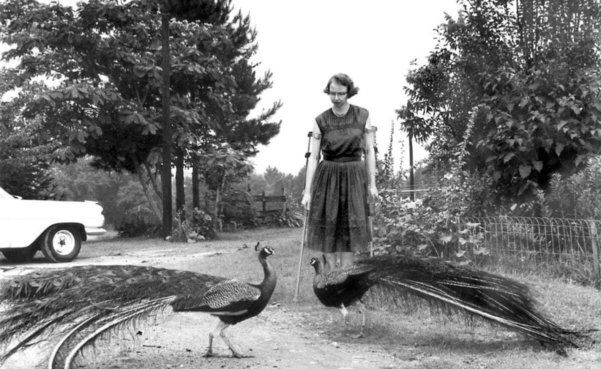 Un cuento de Flannery O´Connor, la precuela de ‘Reina roja’ y el recuerdo del ‘Tamayazo’, entre los ‘podcasts’ destacados de septiembre