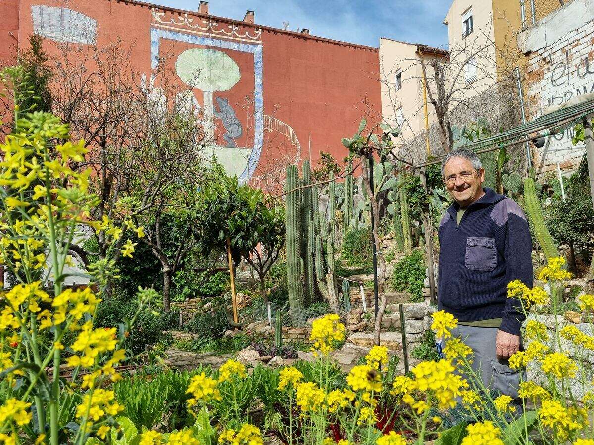 Antonio Alfaro, el jardinero de Lavapiés: “Si te gusta la tierra, el ver crecer las plantas es algo que no tiene precio”