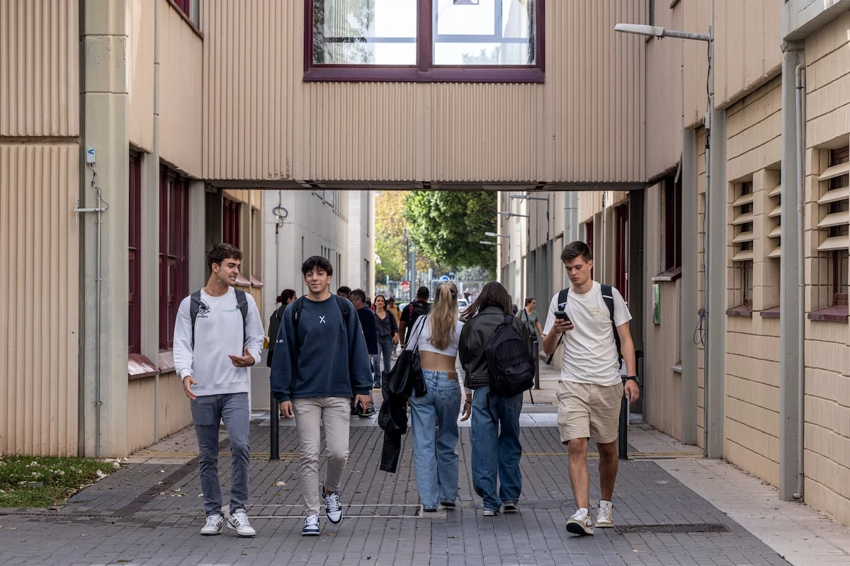A igual título universitario, no hay diferencias de sueldo significativas entre haber estudiado en una universidad pública o privada