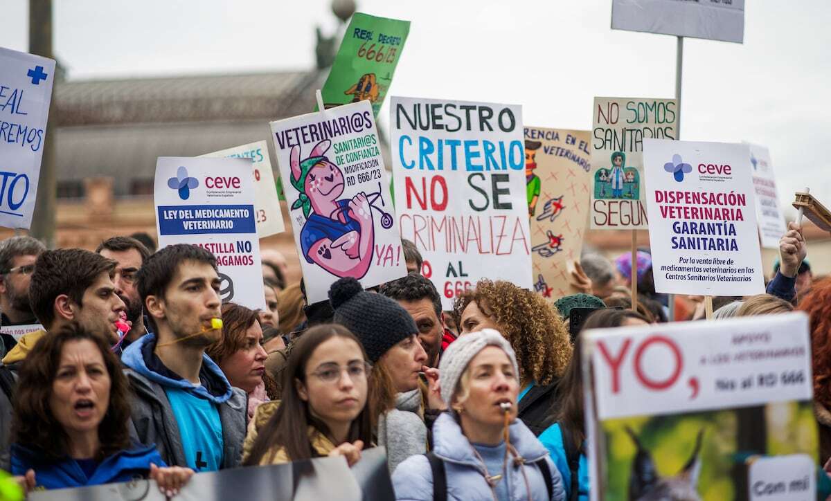 ¿Está en riesgo la salud de las mascotas? Los veterinarios salen a la calle por las trabas en la prescripción de antibióticos