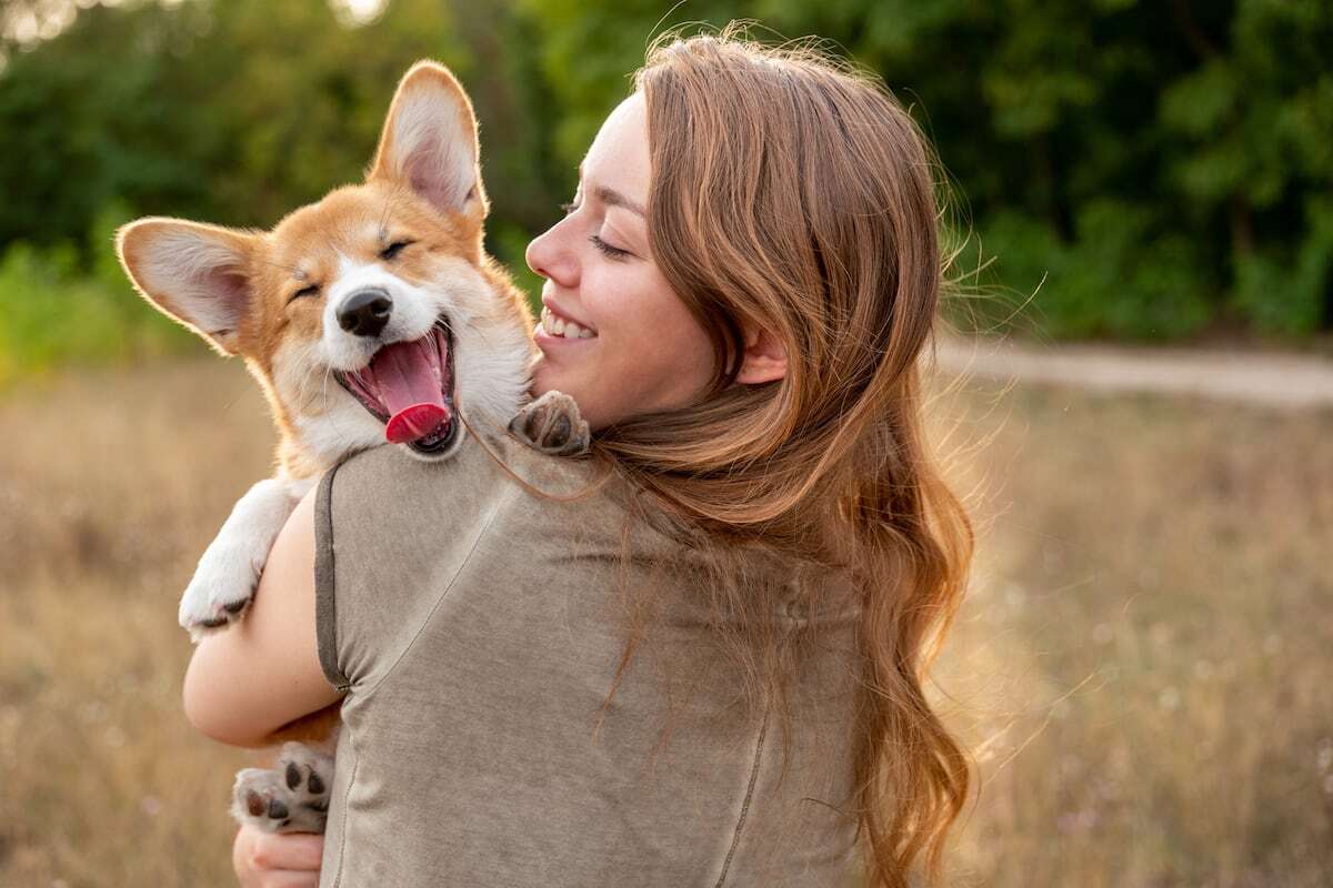 ¿Cómo puedo saber si mi perro me quiere?