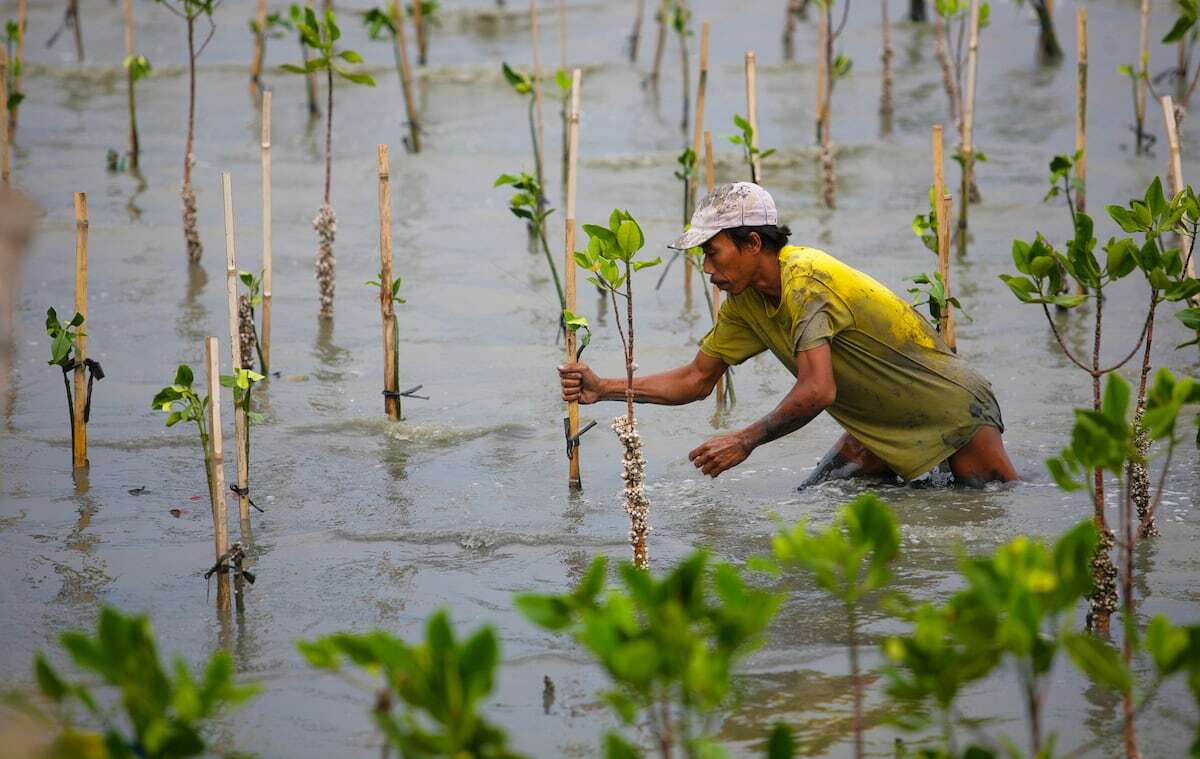 La biodiversidad ha caído entre un 2% y un 6% por década durante los últimos 50 años