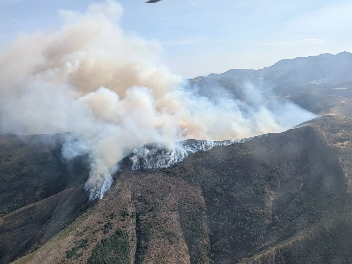 Un incendio descontrolado amenaza las montañas leonesas de Barniedo, hábitat del oso pardo