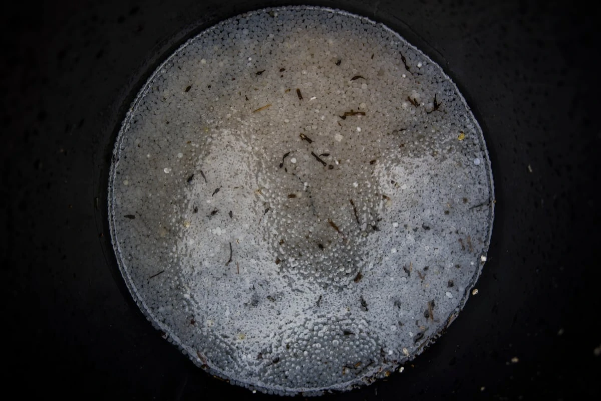 Mar de plástico: un estudio global de los océanos mide miles de micropartículas hasta en la fosa de las Marianas