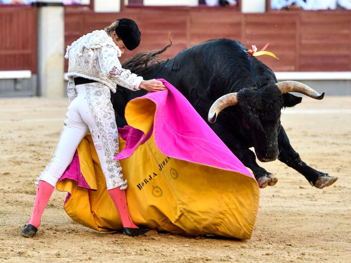 Borja Jiménez, un torero multipremiado por la afición y no siempre reconocido por los taurinos