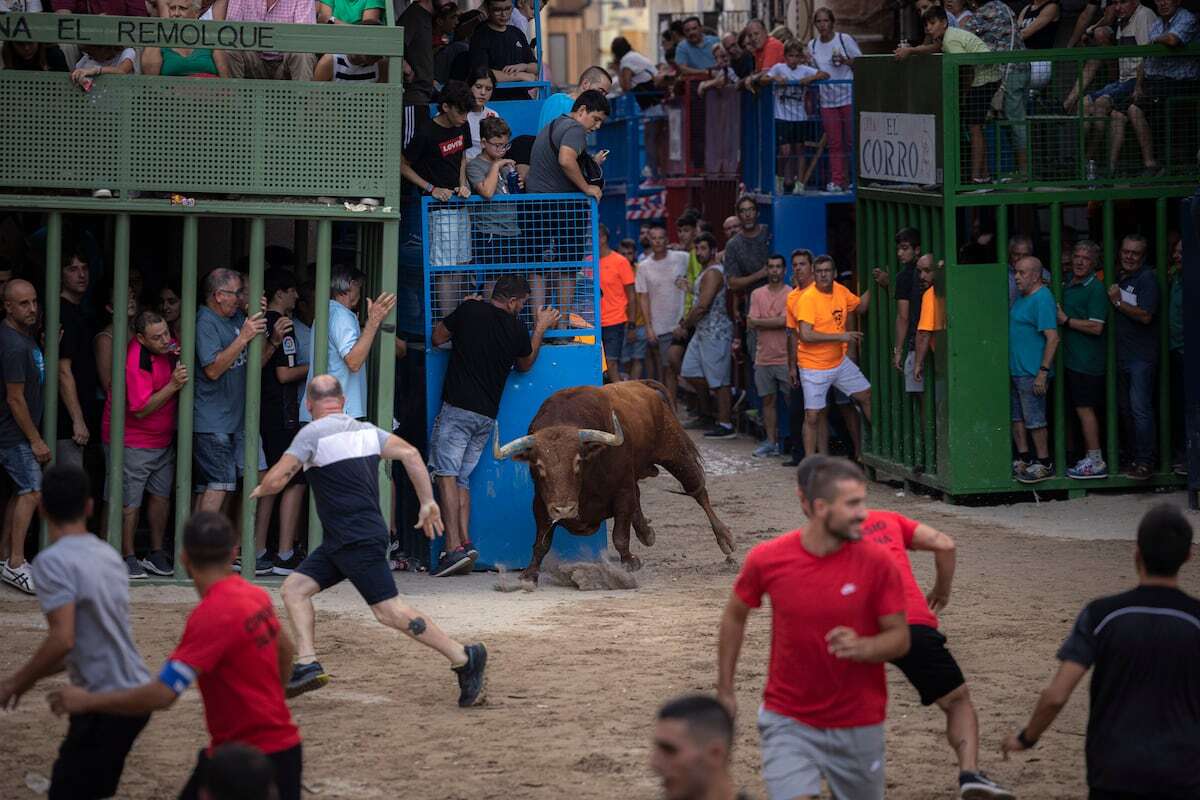 La justicia desestima la prohibición de los festejos populares decidida por el ayuntamiento valenciano de Quart de Poblet