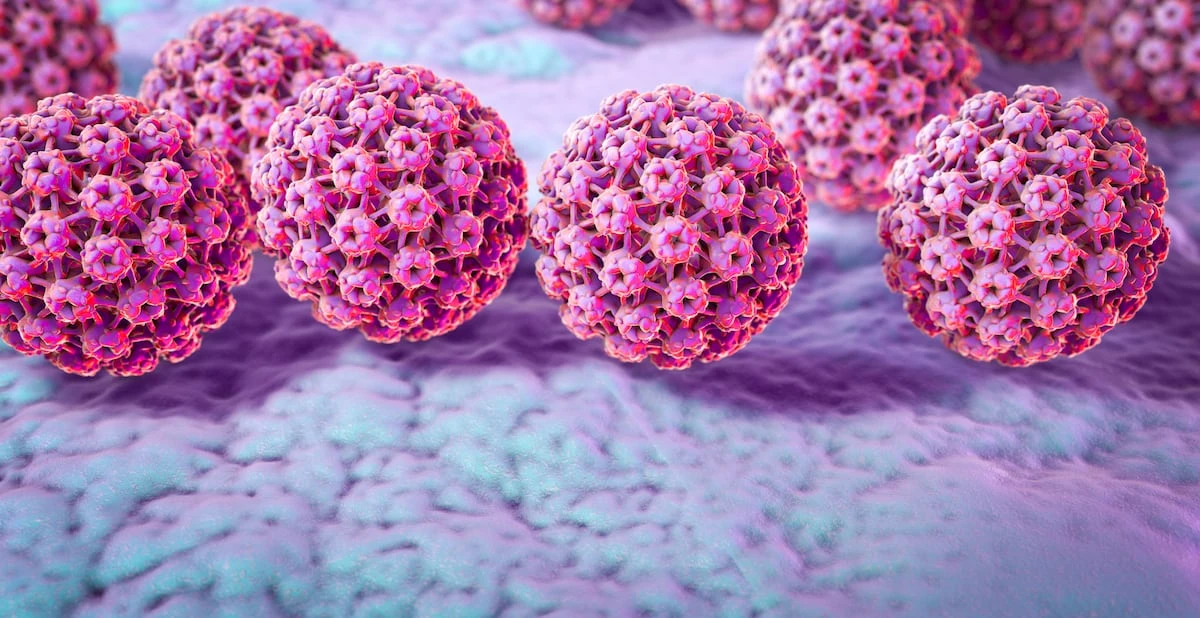 Una revisión científica desaconseja los probióticos y geles vaginales frente al virus del papiloma: “Pueden ser una pérdida de tiempo y dinero”