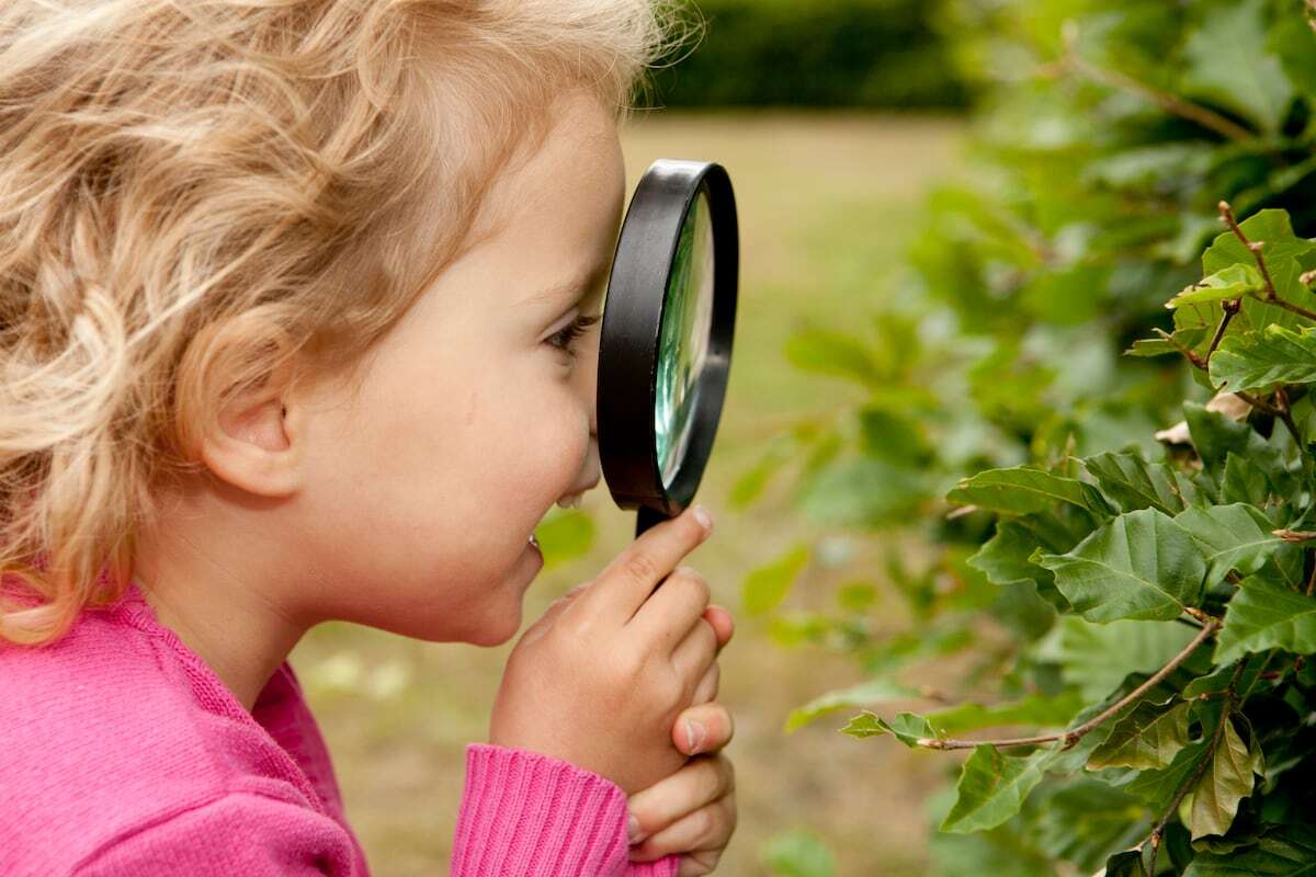 Que los niños jueguen con plantas: curiosidad, aprendizaje y disfrute