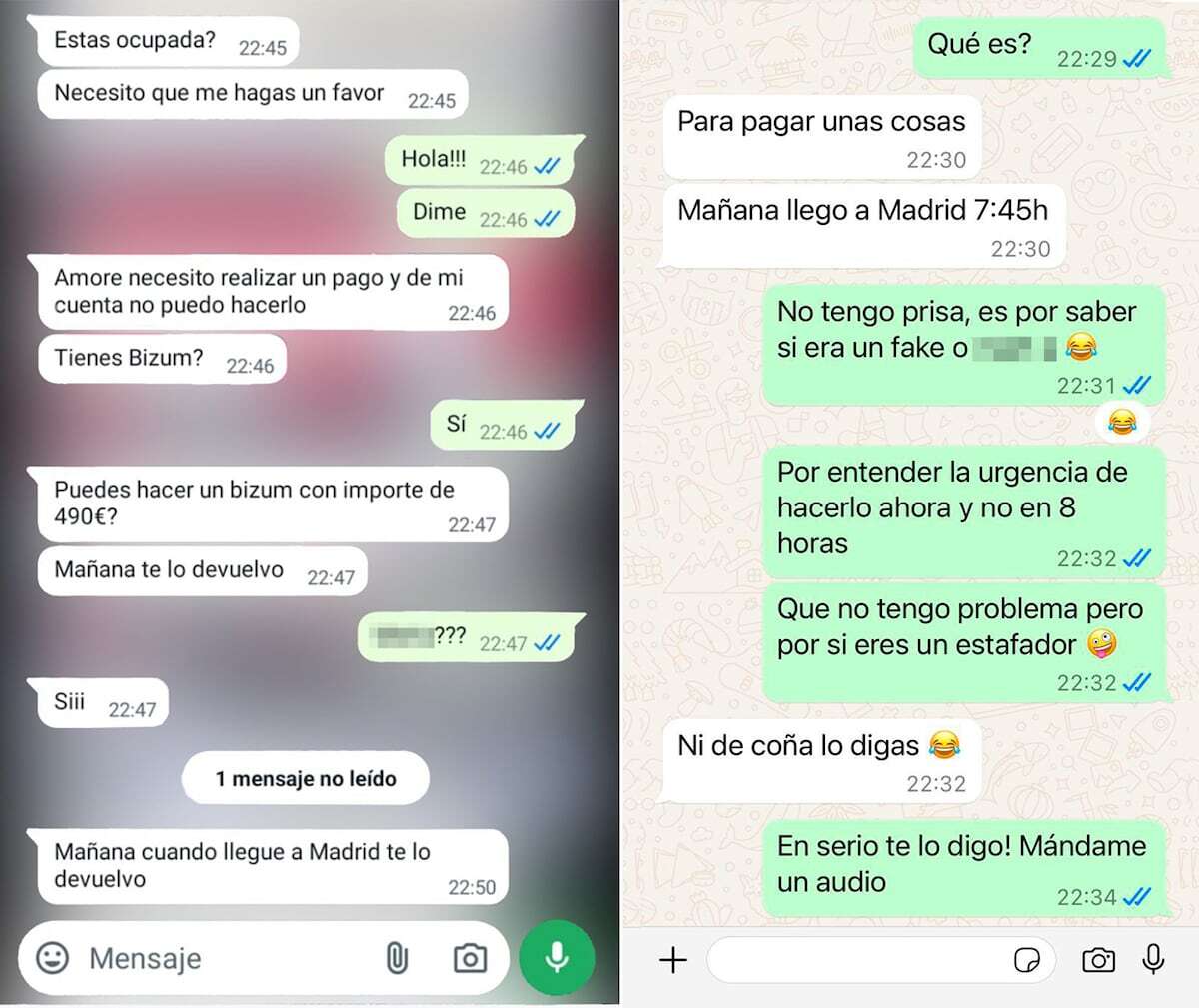 Radiografía de una estafa por WhatsApp: “Es increíble porque usaban sus palabras, como amore y nena”