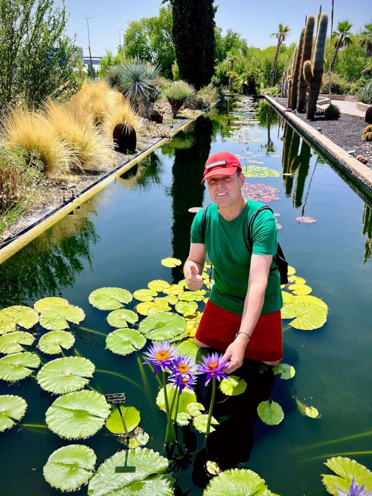 Tomy Escribano, experto en nenúfares: “Monet ha sido un gran embajador de estas plantas y su jardín es un lugar de culto para miles de turistas”