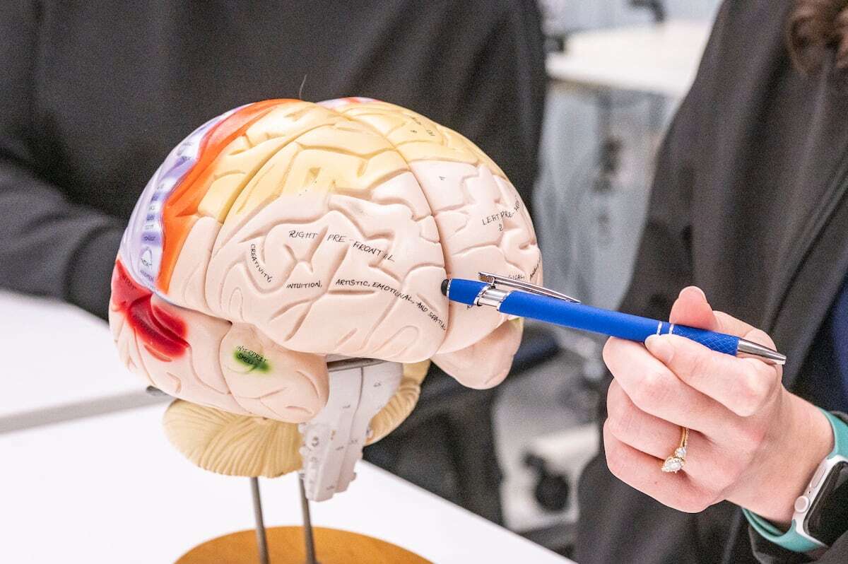 Así almacena el cerebro las palabras: agrupándolas por significado