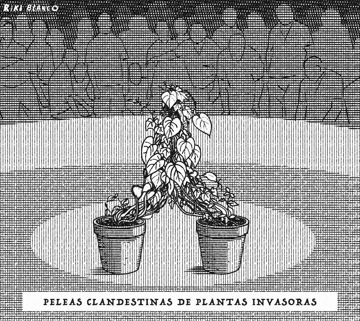 Riki Blanco: peleas clandestinas de plantas invasoras