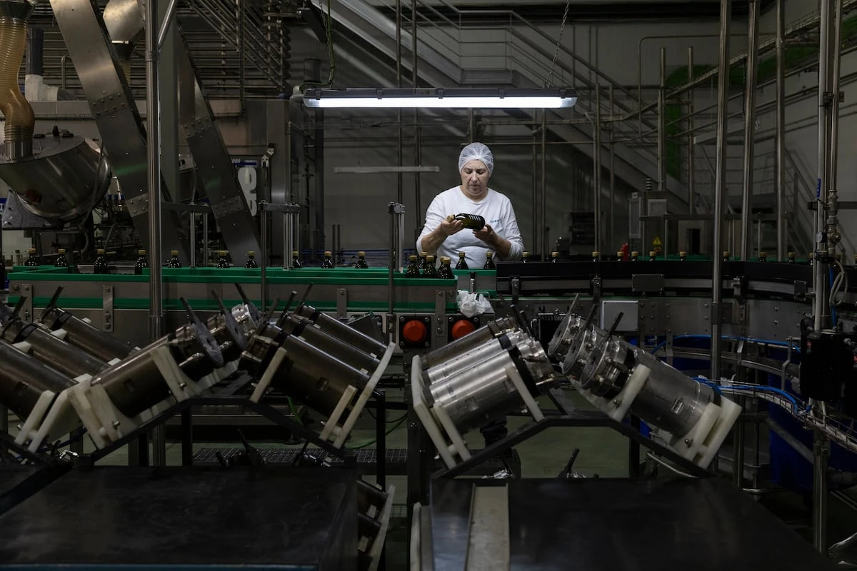 Los olivareros denuncian ante Competencia pactos desleales para hundir los precios en origen del aceite de oliva