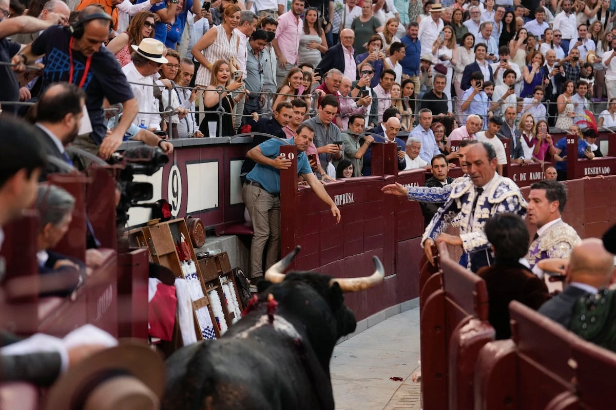 Saltarines y deslucidos toros de rejoneo