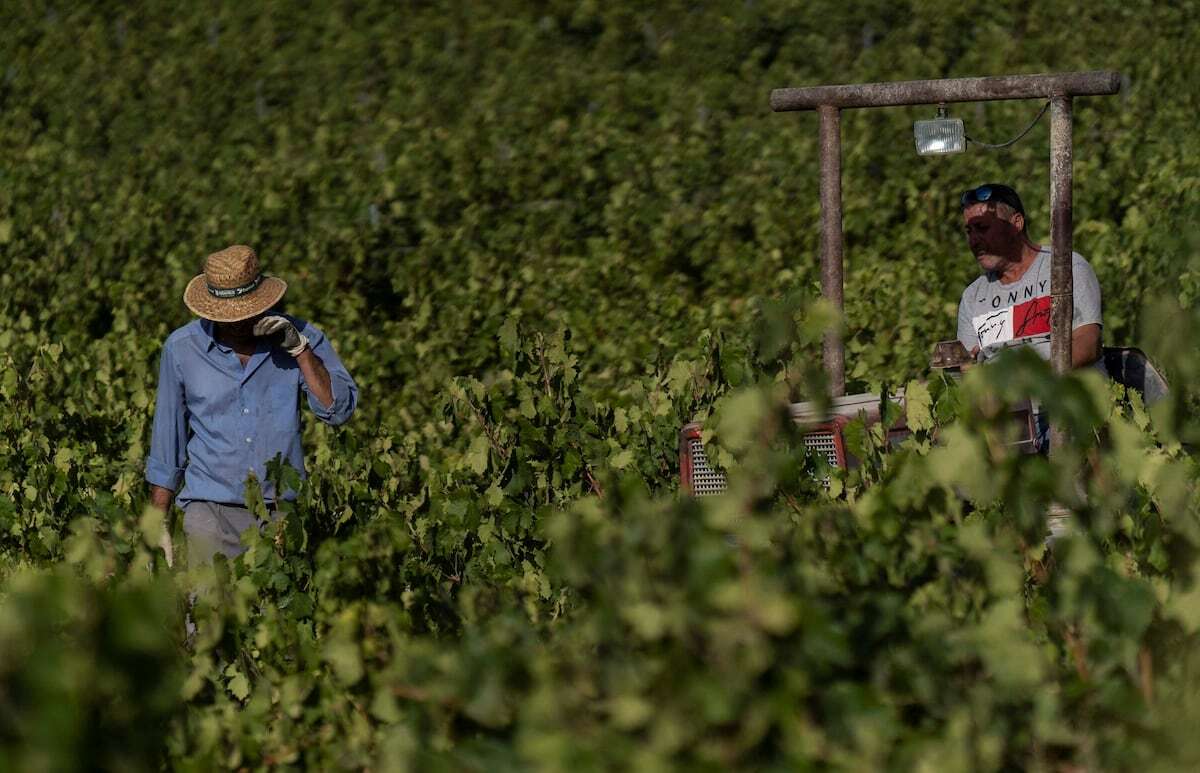 Las organizaciones de agricultores españoles cargan contra el acuerdo UE-Mercosur: “Somos los grandes perjudicados”