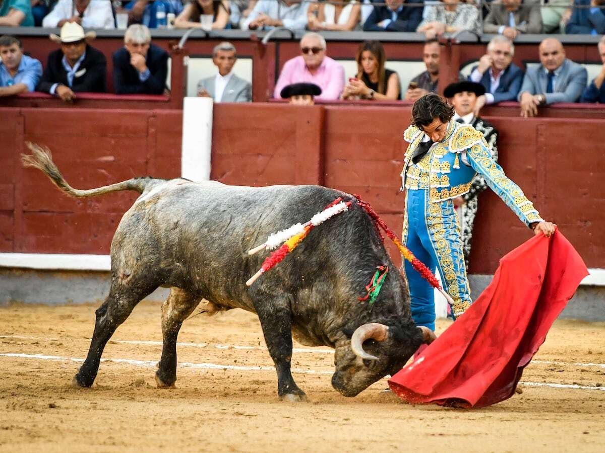 Curro Díaz, un torero de culto, independiente y feliz, que nació en la habitación donde murió Manolete