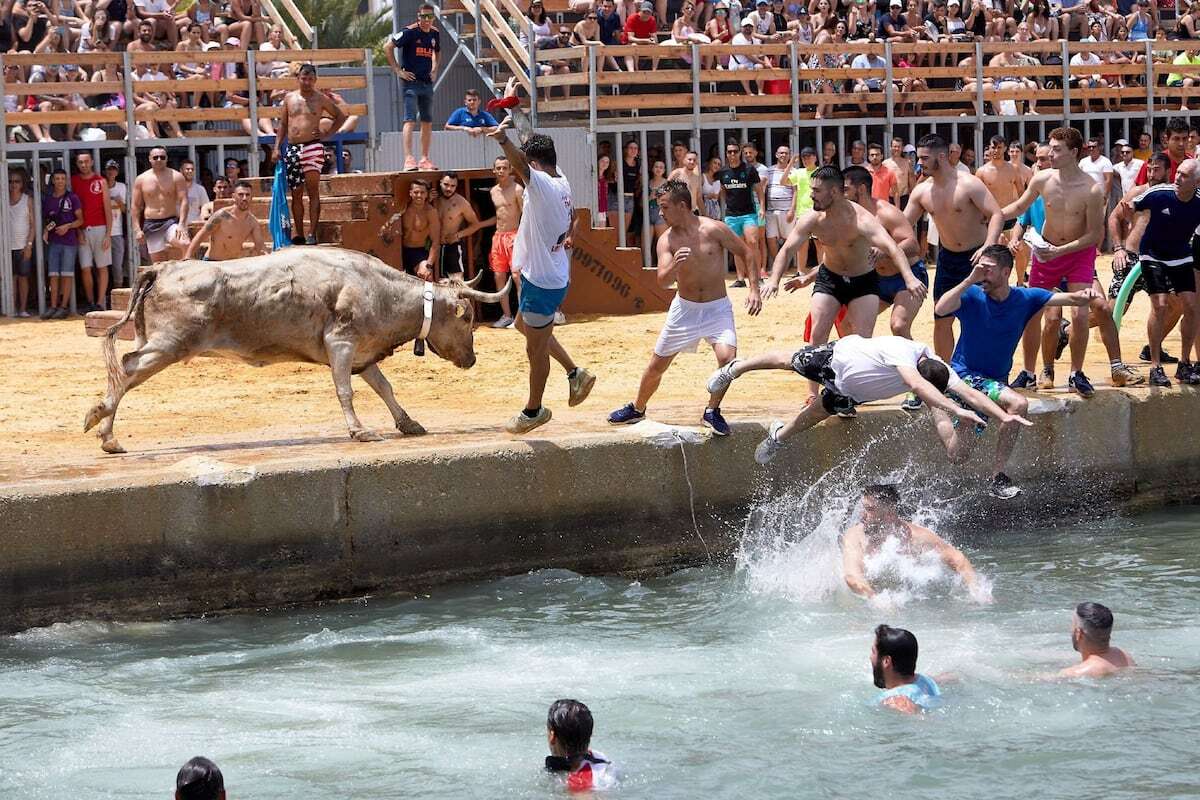 Las peñas taurinas de ‘bous al carrer’ de Valencia defenderán en los tribunales el Premio Nacional de Tauromaquia