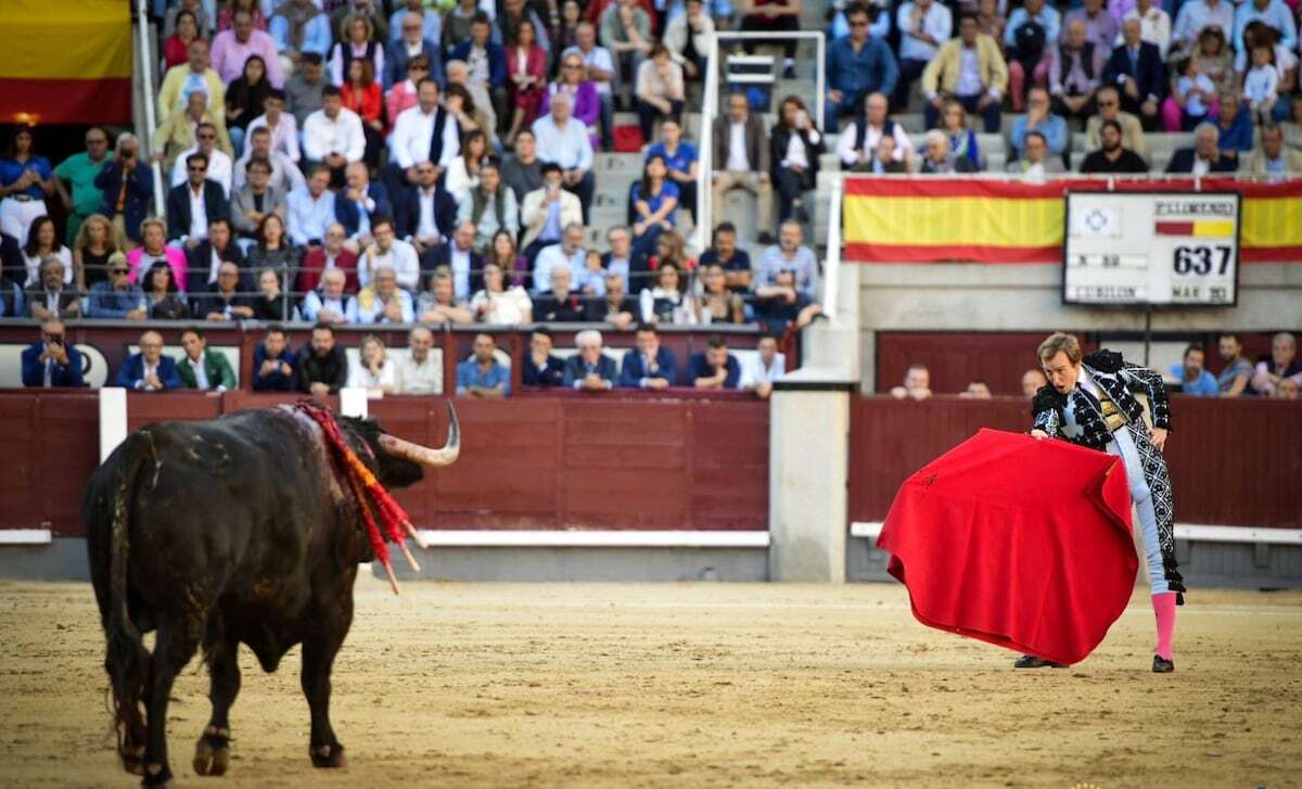 Emotivos Román y Rufo