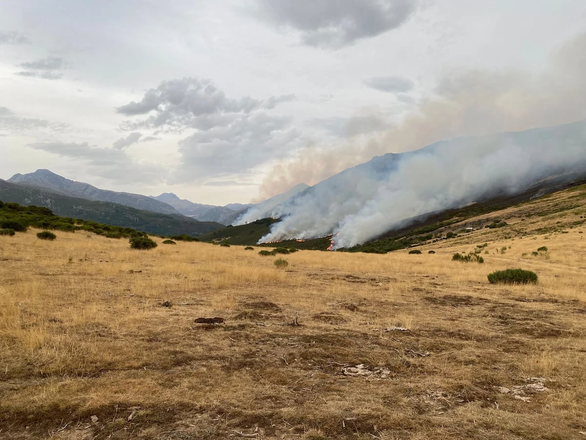 El fuego descontrolado amenaza la reserva del oso en la Montaña Palentina