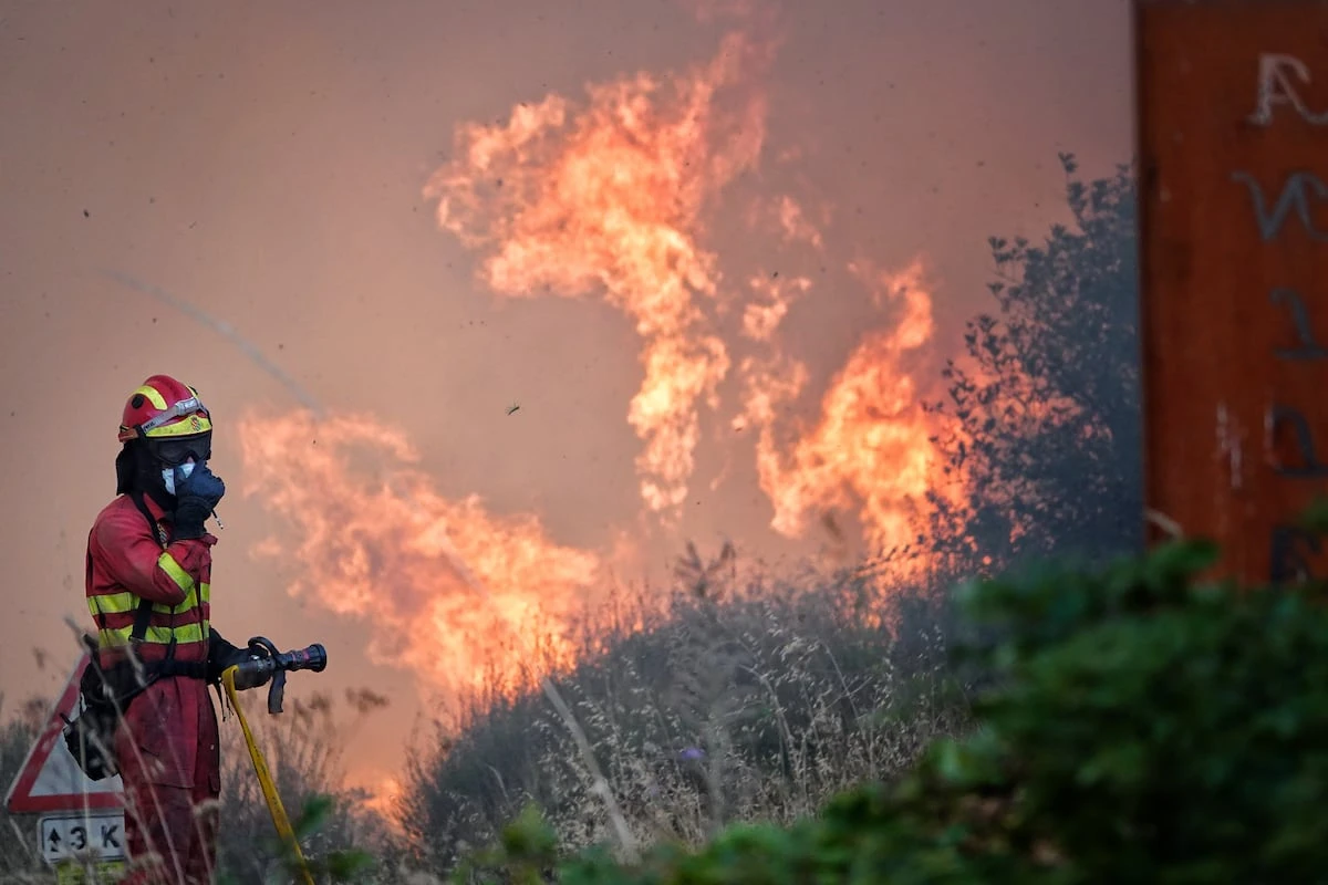 Una empresa provoca un incendio en León mientras cortaba árboles sin permiso en época de alerta máxima