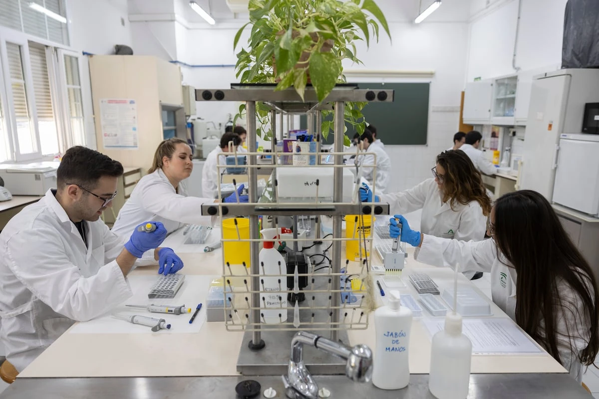 Las carreras más codiciadas por los jóvenes tras la Selectividad: Tecnología, Salud y también Relaciones Internacionales