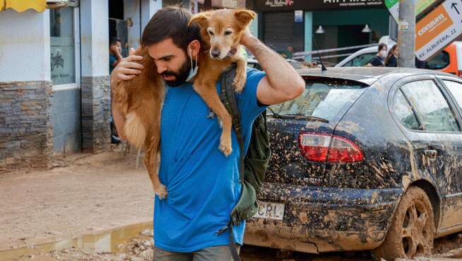 Veterinarios entre el fango de la DANA: 