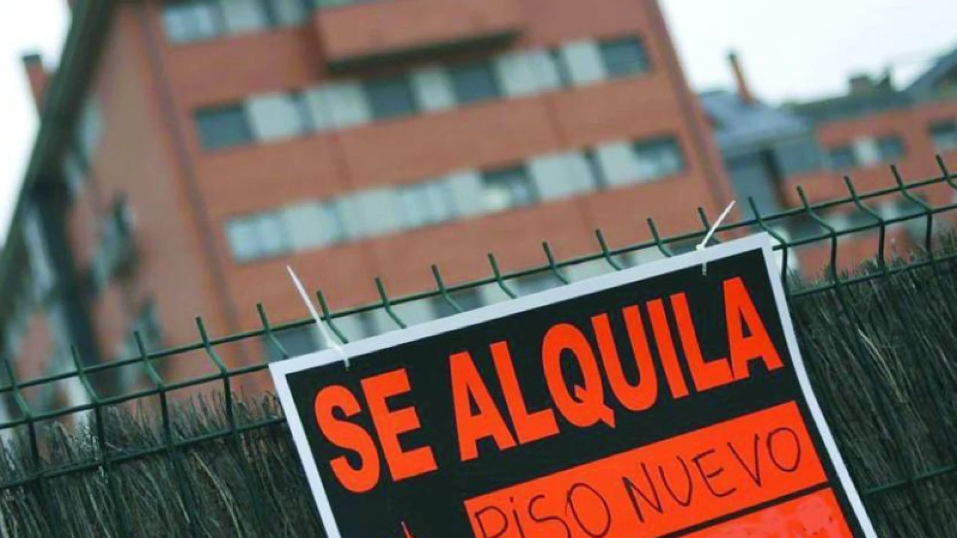 Alberto Sánchez, abogado experto en alquiler: 