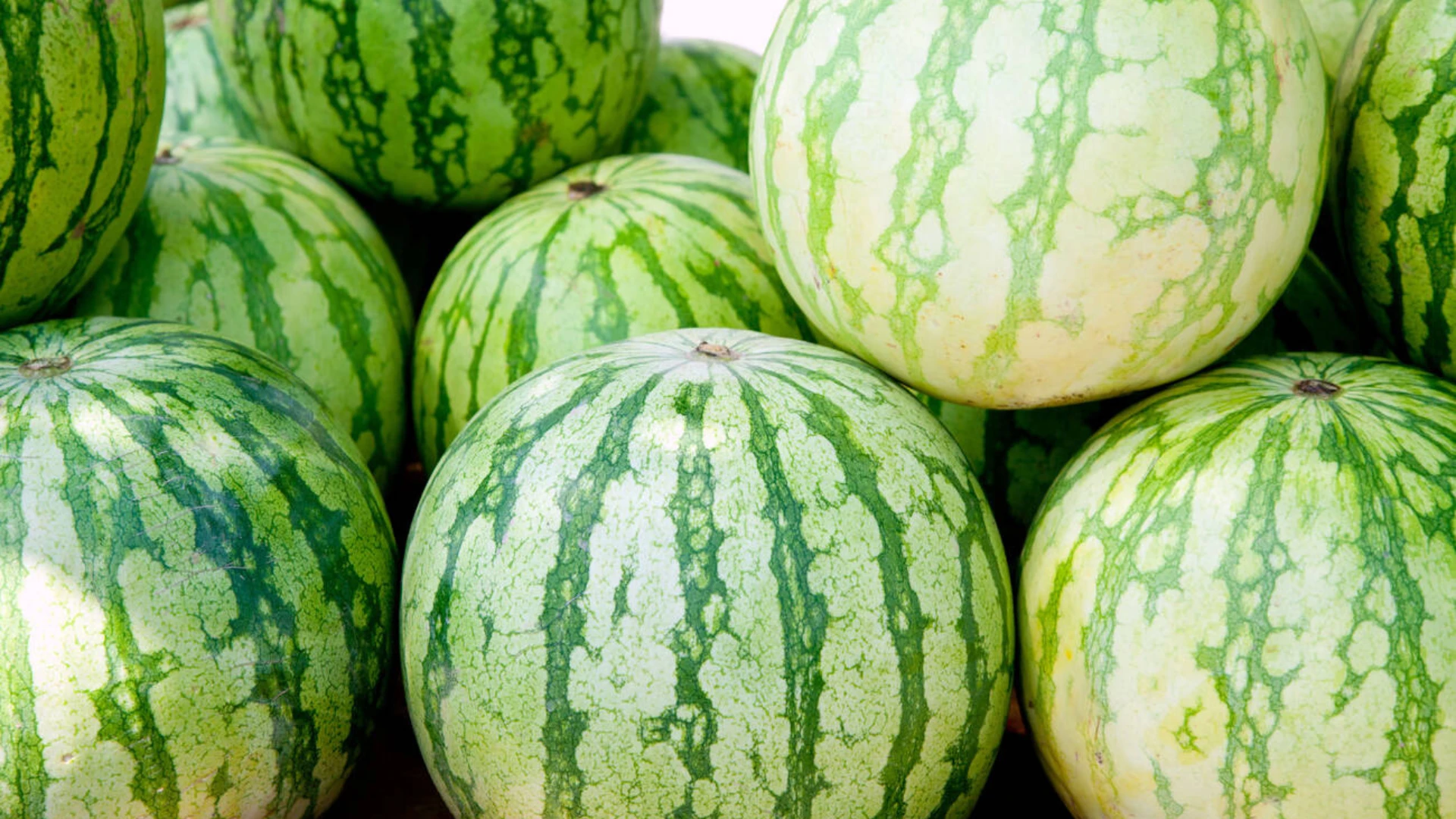 El detalle infalible para elegir una buena sandía en el supermercado: la clave está en esta mancha en la corteza