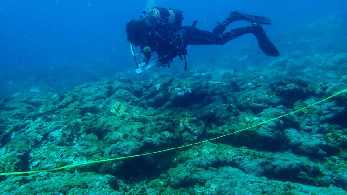 CanBIO, en busca de los refugios climáticos marinos