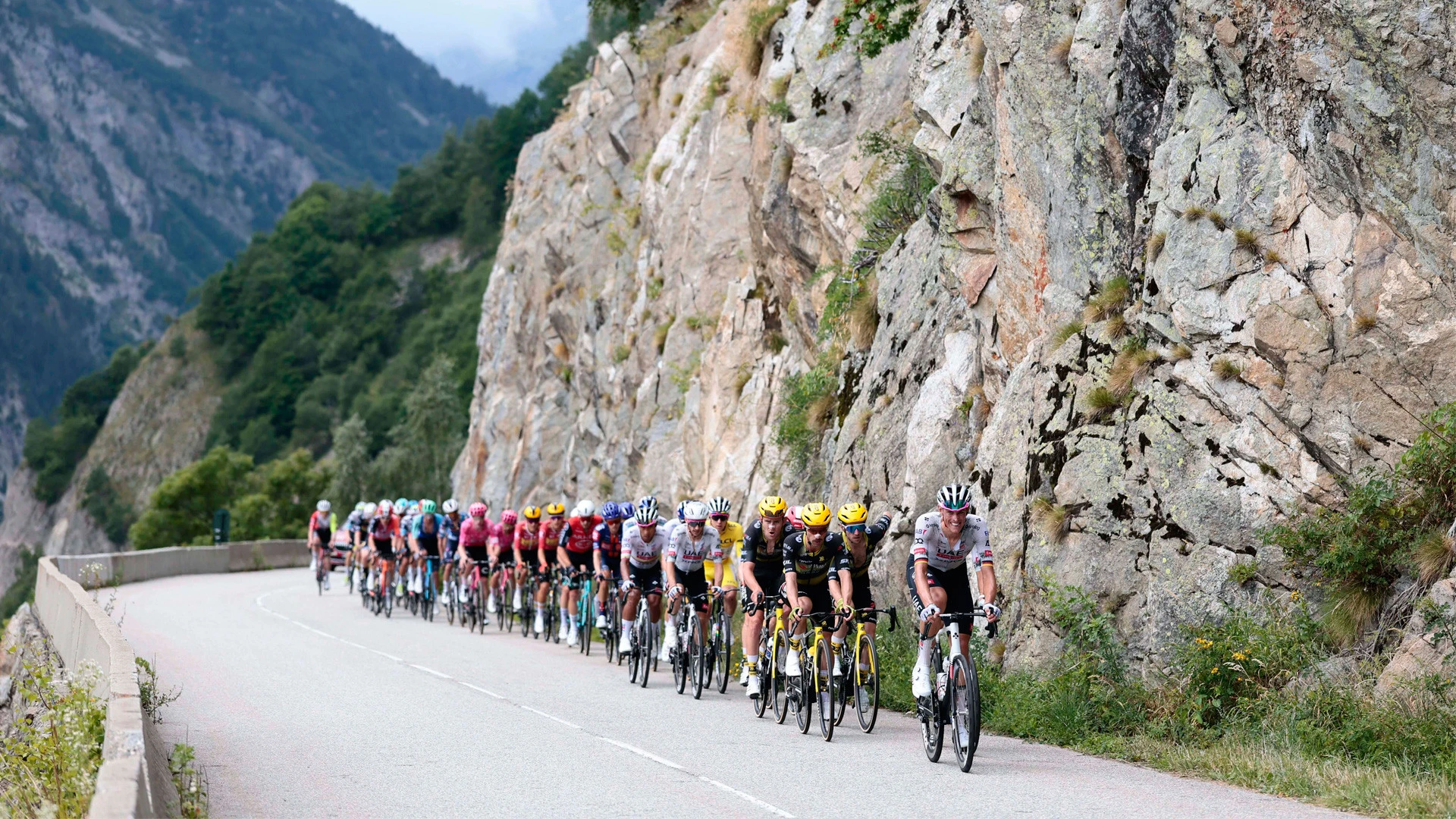 Acortan la etapa del Tour de este viernes por una peste en un rebaño del recorrido