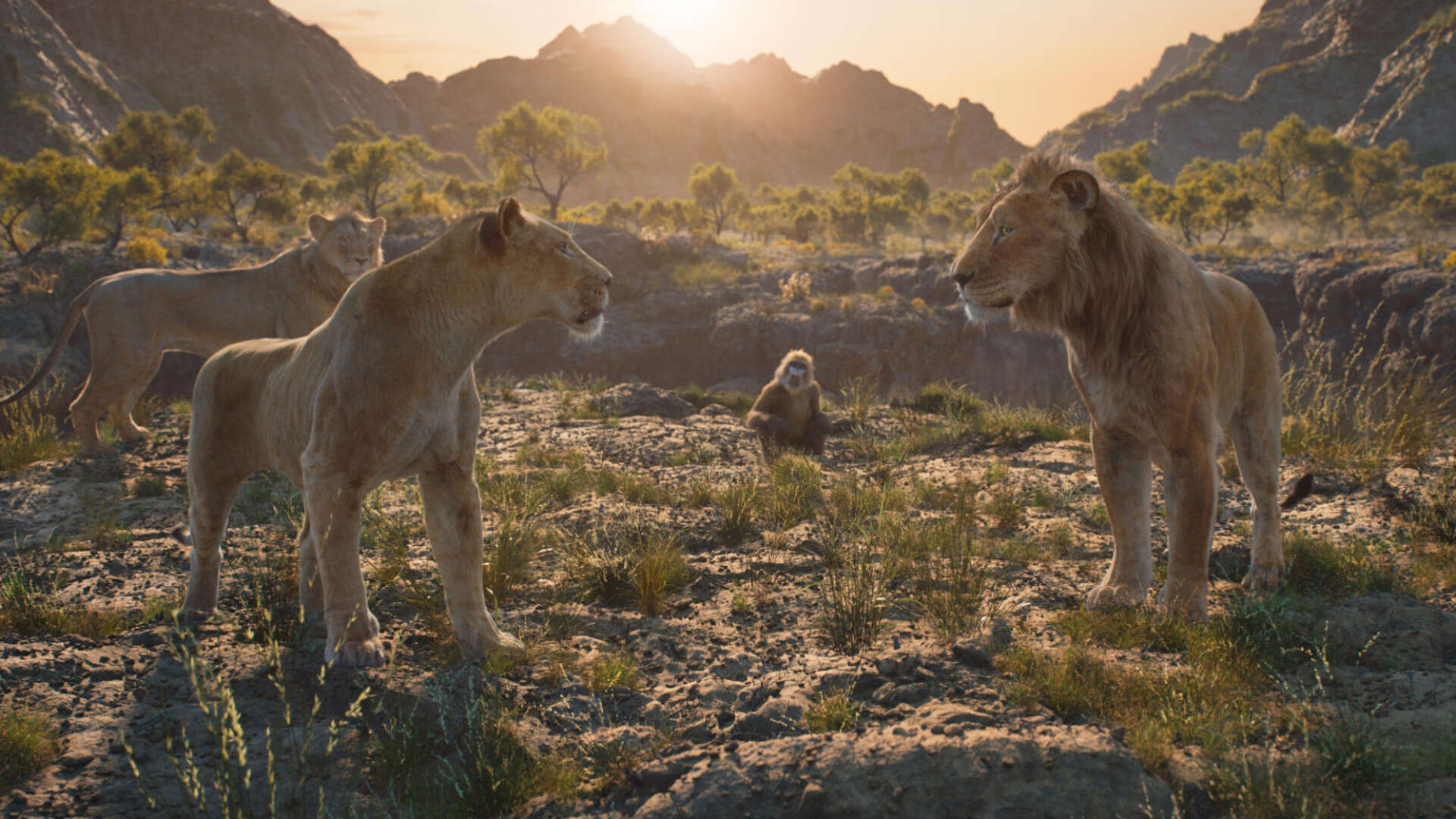 'Mufasa: El Rey León', 'Cónclave' o 'La guitarra flamenca de Yerai Cortés', entre los estrenos destacados de la semana