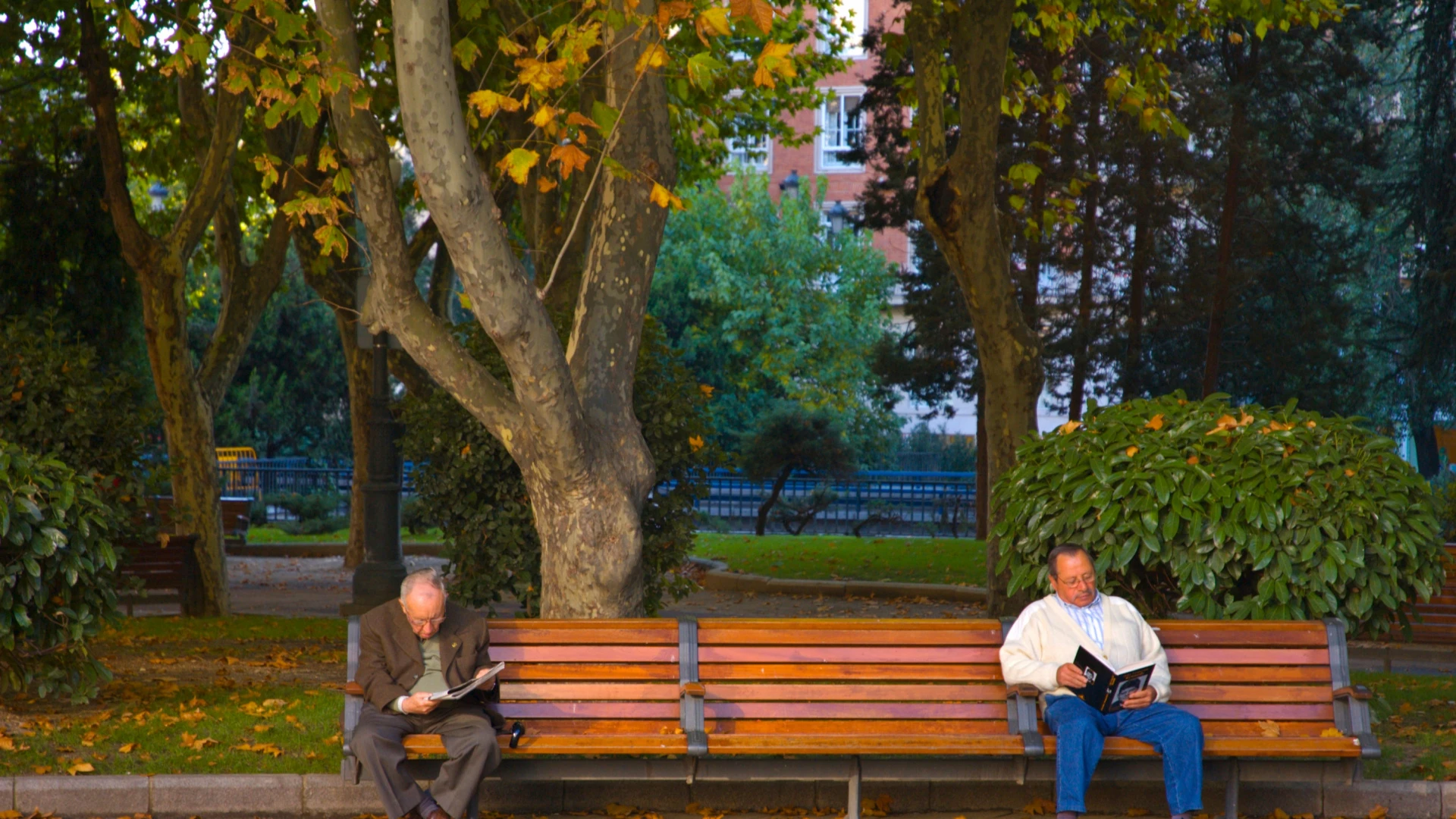 Se jubila con 60 años, cobra 36.000 euros y le terminan suspendiendo la pensión: la inspección que condenó a este jubilado