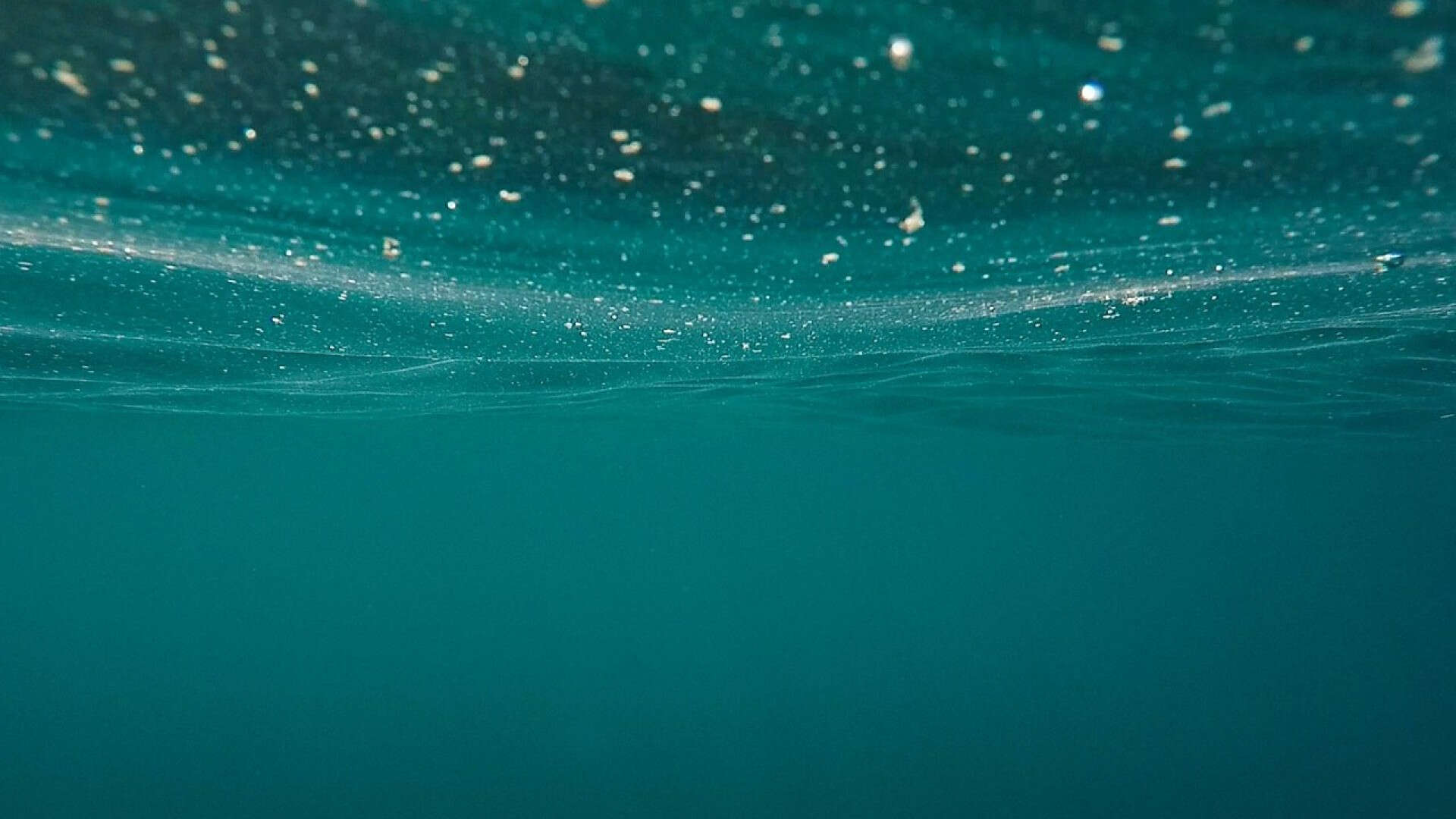 Vive bajo el mar durante 120 días, rompe el récord Guinness y la conclusión a la que llega puede cambiar la historia de la humanidad