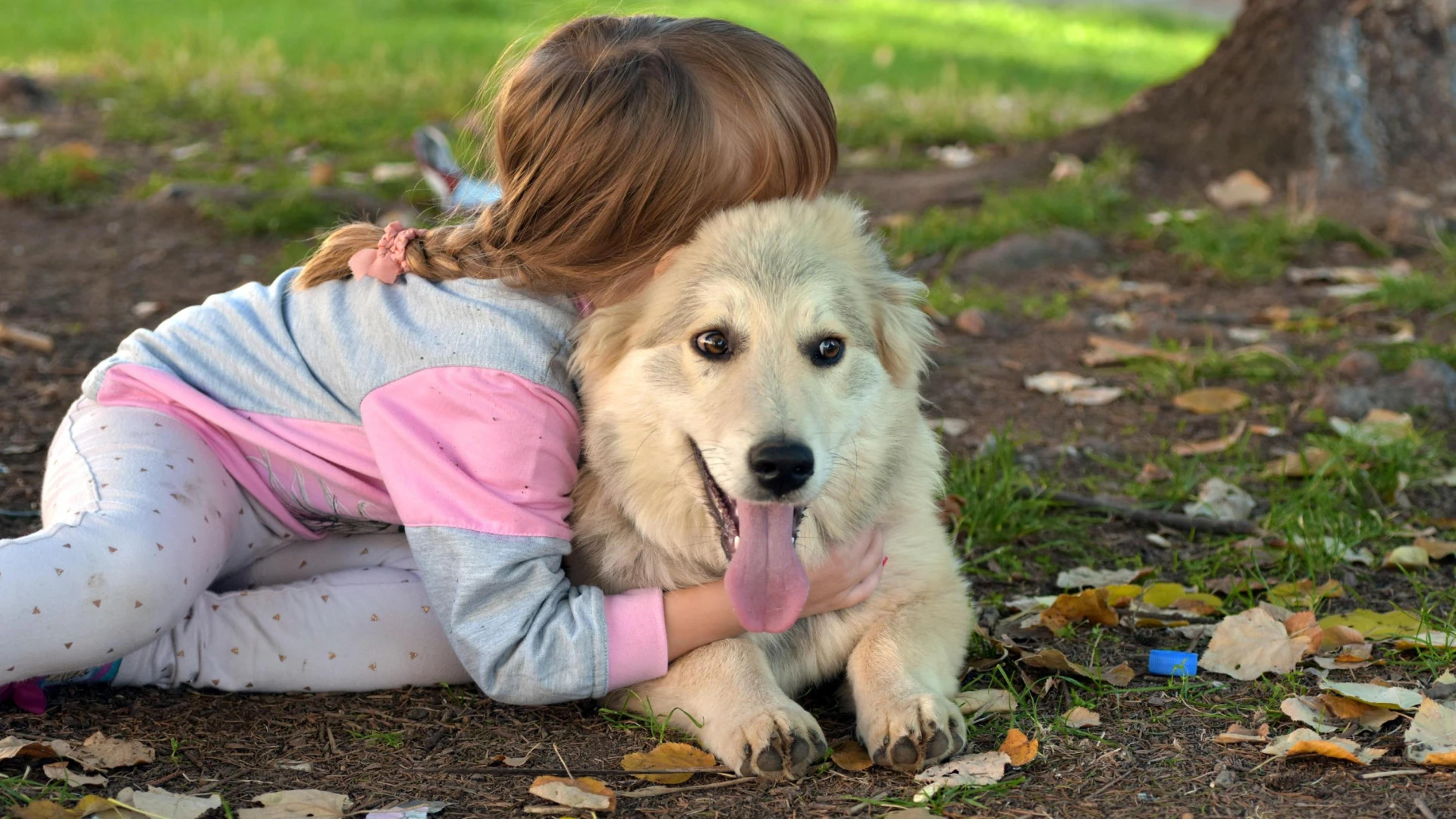 Se hace una foto con su perro en Granada y años después se sorprende por el lugar en el que aparece: la ha visto todo el mundo