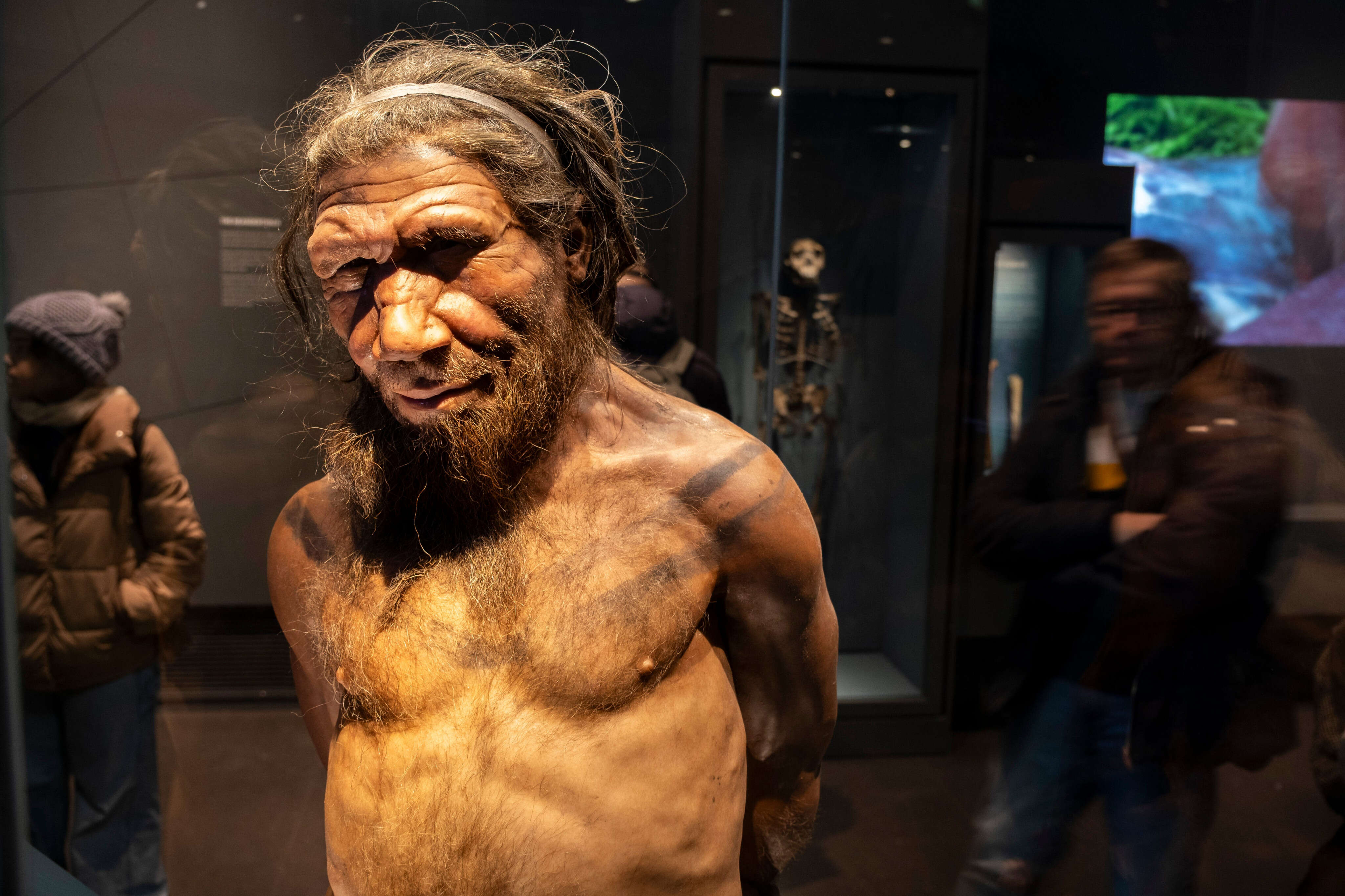 Scientists discovered a unique line of Neanderthals and it's helping solve the mystery of humanity's last great extinction