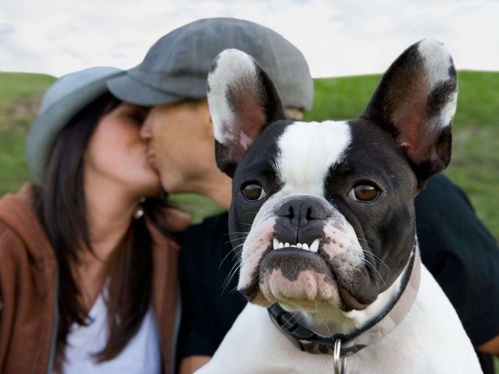 I don't like dogs, and it's messing up my dating life