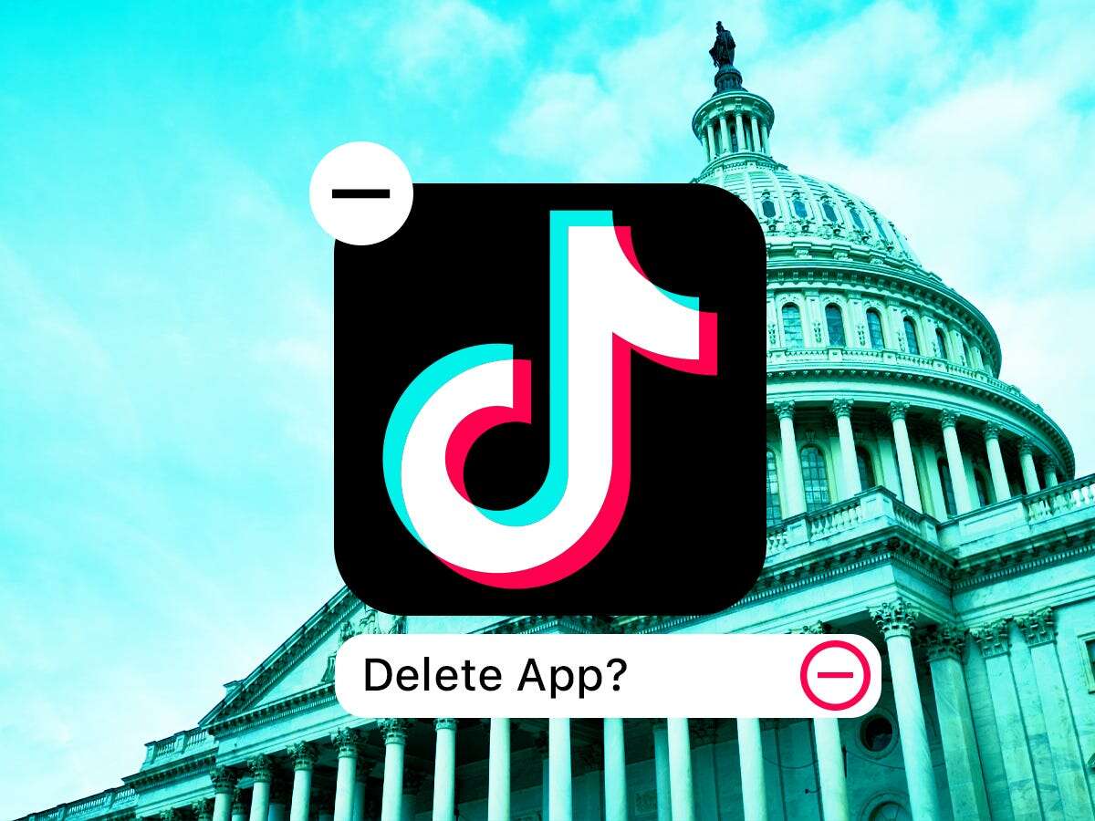 TikTok says it would 'go dark' in the US this month if Supreme Court doesn't intervene