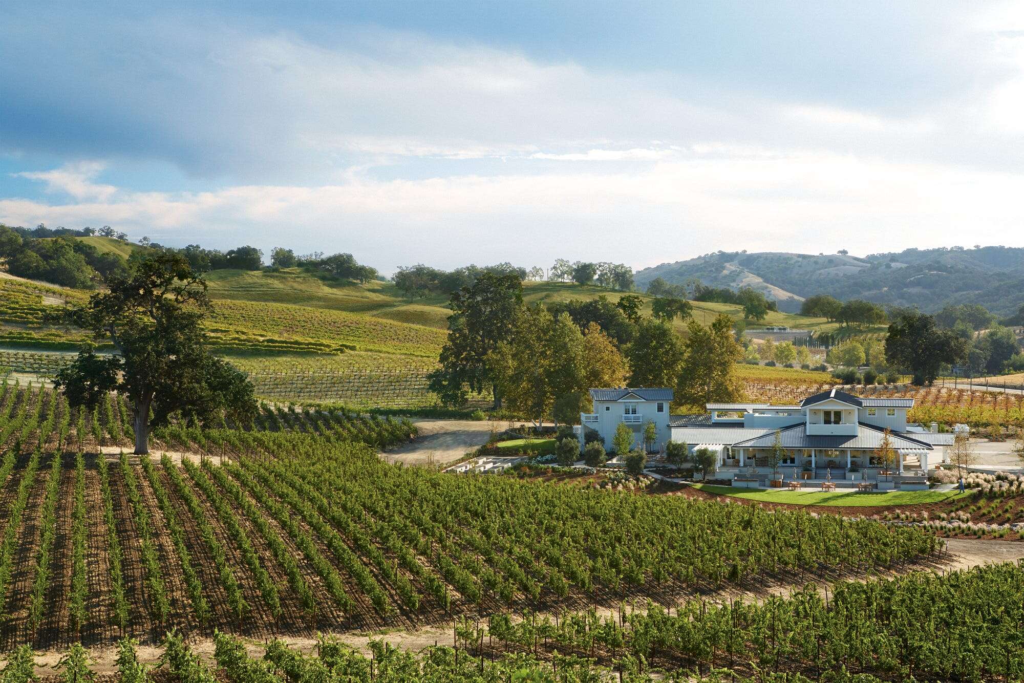 I skip Napa Valley and head to Paso Robles instead. It's California's best-kept secret for wine lovers.