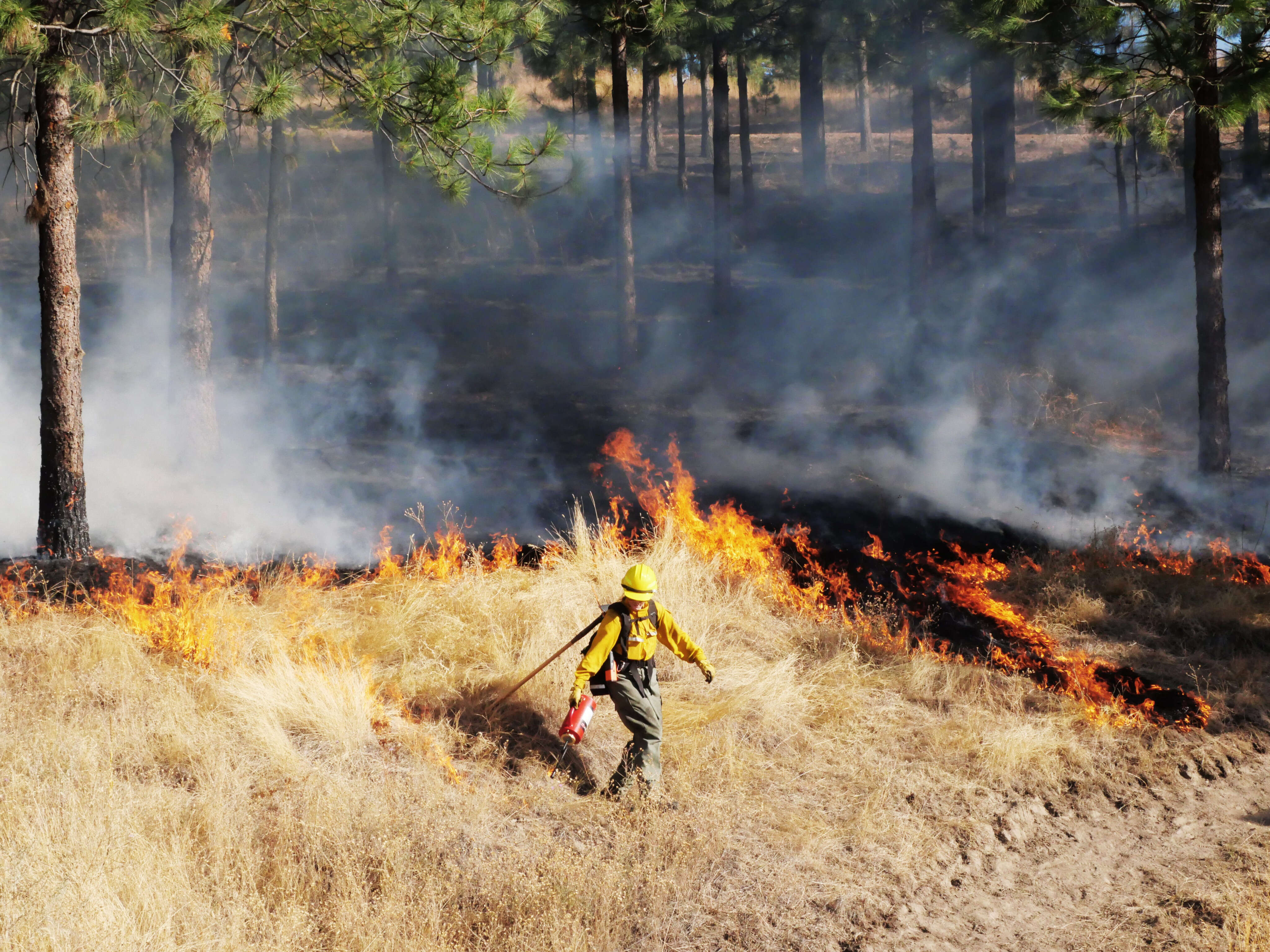 We need more people to set fires. Yes, you read that right.